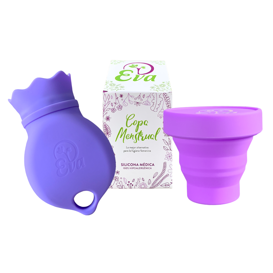EcoBlossom Estuche y esterilizador para vasos menstruales, soporte de  esterilización de silicona reutilizable, período de limpieza para ti y tu  disco